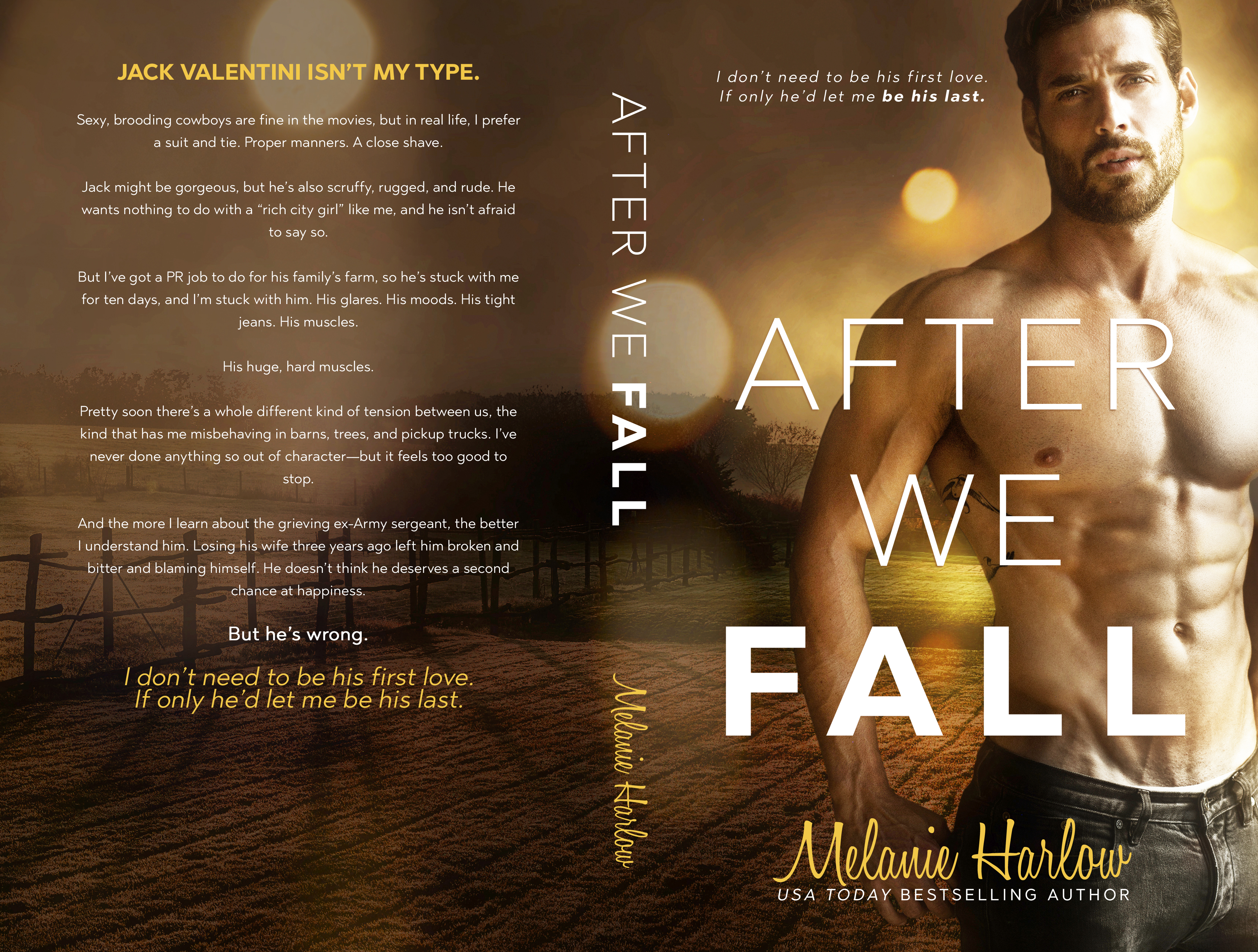 MHAfterWeFallBookCover5x8_BW_300.jpg