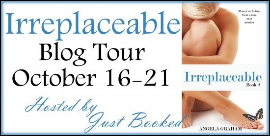 irreplaceable banner