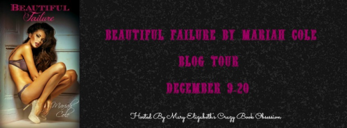 Beautiful Failure Blog Tour Banner
